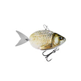 FISHUS Esparrall Metal Vib